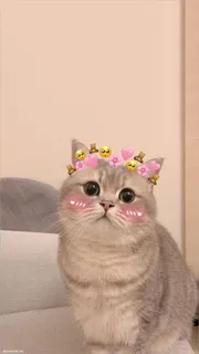 haru1